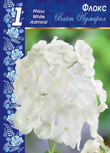 Вайт Адмирал