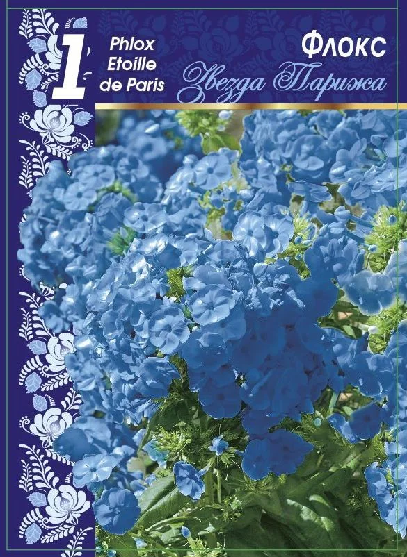 Звезда Парижа