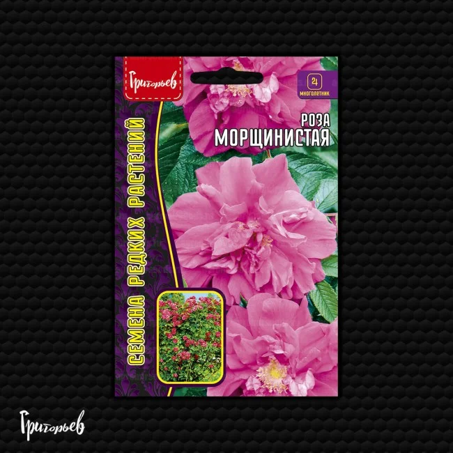 Морщинистая