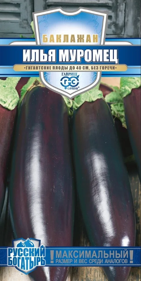 Илья Муромец