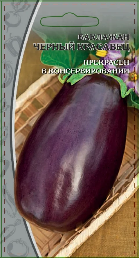 Миниатюра изображения сорта Черный красавец