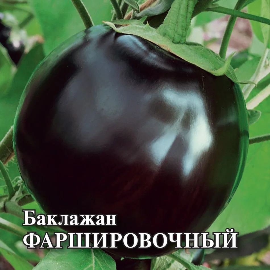 Фаршировочный