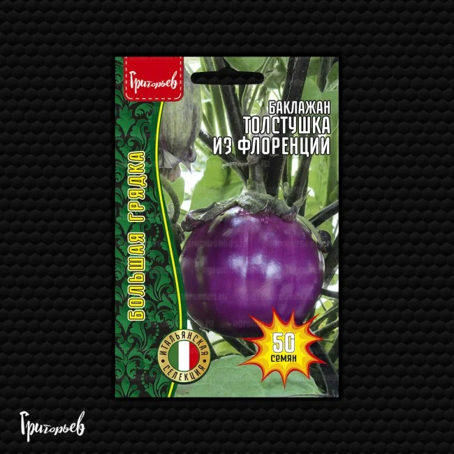 Толстушка из Флоренции