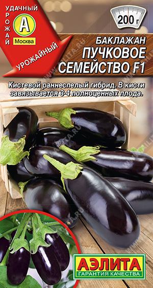 Пучковое семейство 