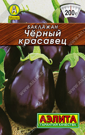 Черный красавец