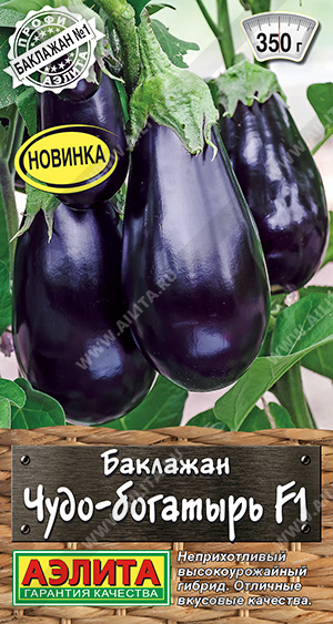 Чудо-богатырь 