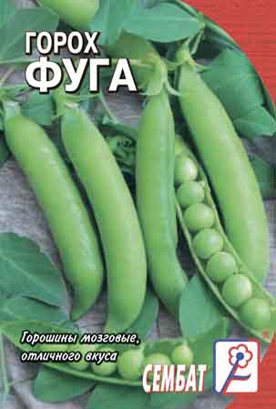 Миниатюра изображения сорта Фуга