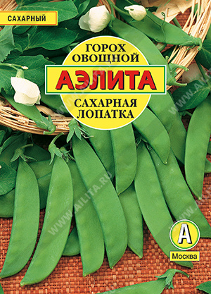 Сахарная лопатка