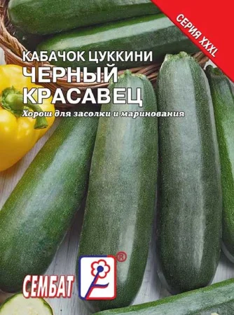 Миниатюра изображения сорта Черный красавец