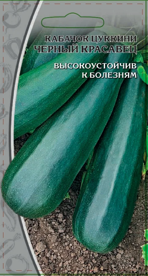 Миниатюра изображения сорта Черный красавец