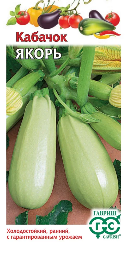 Миниатюра изображения сорта Якорь