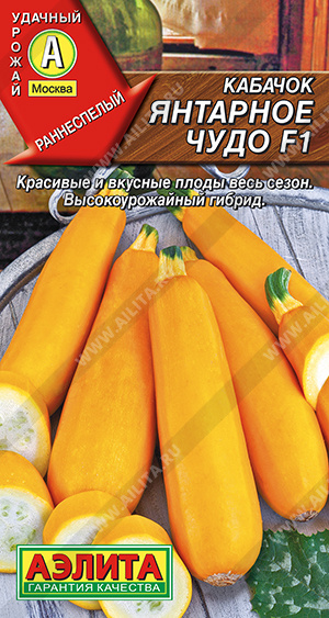 Янтарное чудо 