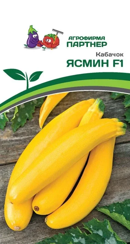 Миниатюра изображения сорта Ясмин 