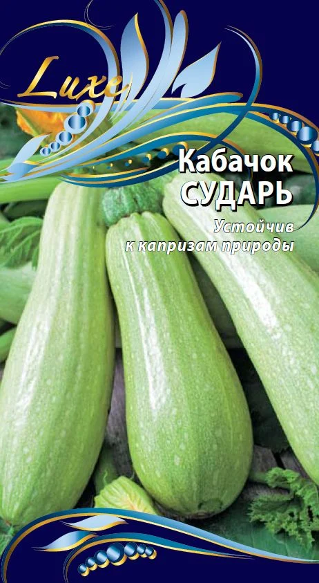 Сударь