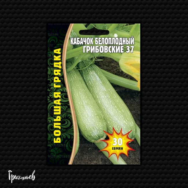 Миниатюра изображения сорта Грибовские 37