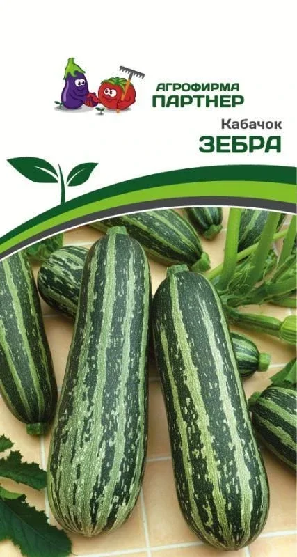 Миниатюра изображения сорта Зебра