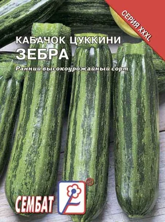 Миниатюра изображения сорта Зебра