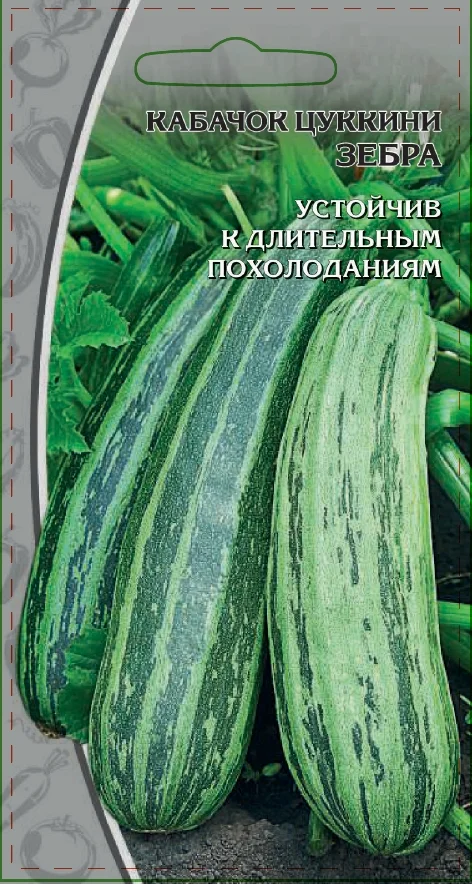 Миниатюра изображения сорта Зебра