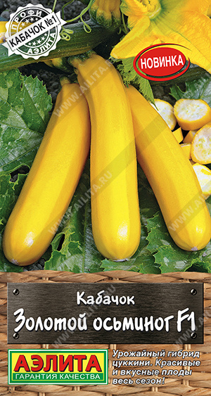 Золотой осьминог 