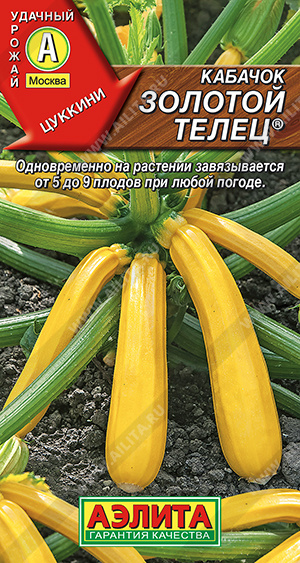 Золотой Телец