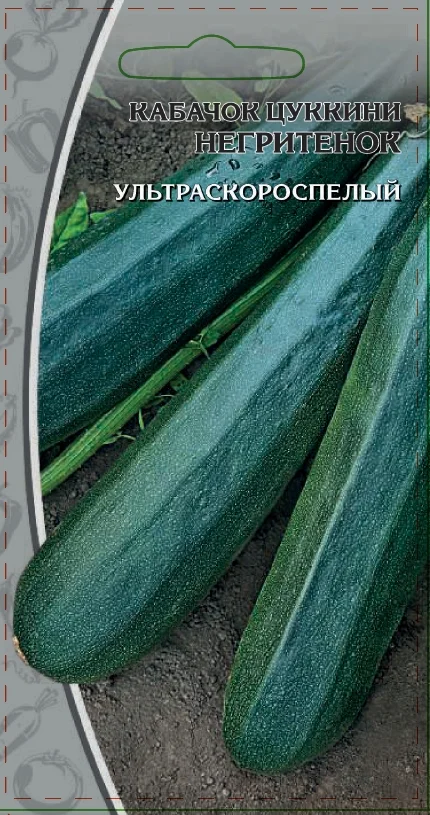 Миниатюра изображения сорта Негритенок