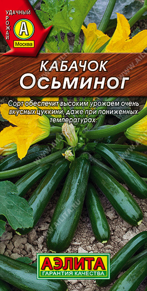 Осьминог