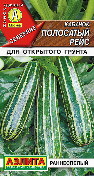 Полосатый рейс