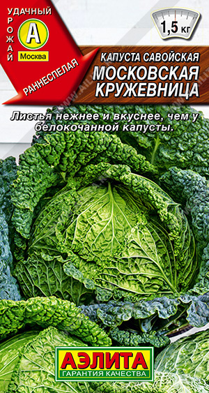 Московская кружевница