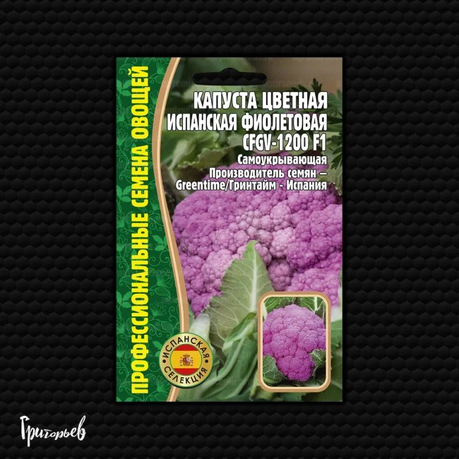 Испанская фиолетовая (CFGV-1200)