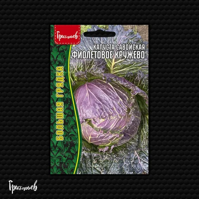 Миниатюра изображения сорта Фиолетовое кружево