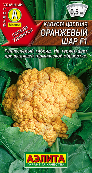 Оранжевый шар 