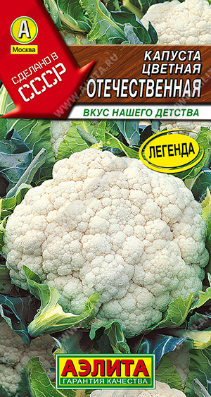 Отечественная