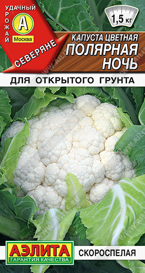 Полярная ночь