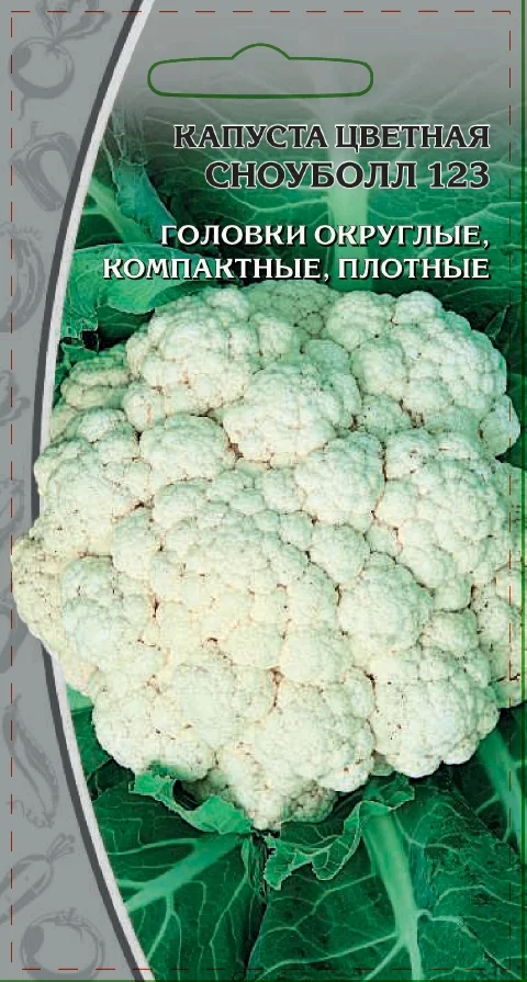 Миниатюра изображения сорта Сноуболл 123