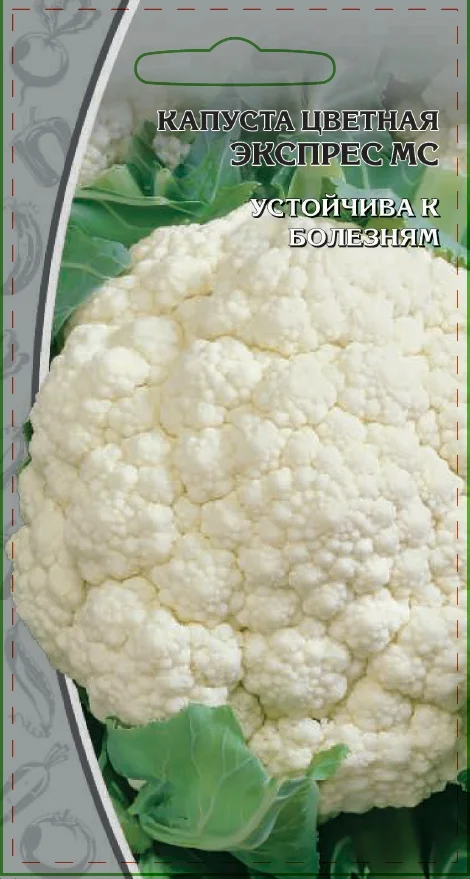 Миниатюра изображения сорта Экспрес МС