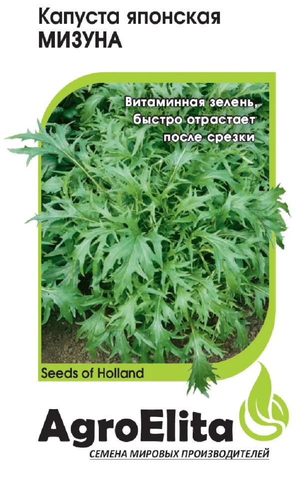 Миниатюра изображения сорта Мизуна