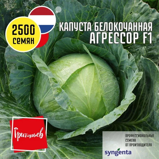 Миниатюра изображения сорта Агрессор  