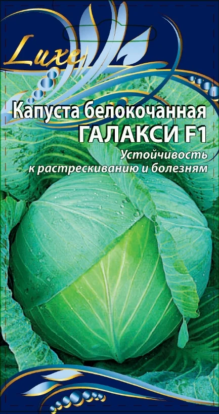 Миниатюра изображения сорта Галакси 