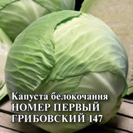 Номер первый Грибовский 147 