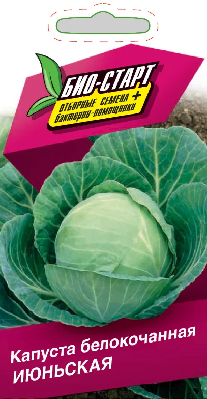 Миниатюра изображения сорта Июньская