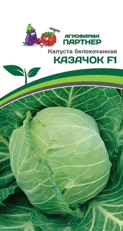 Миниатюра изображения сорта Казачок 