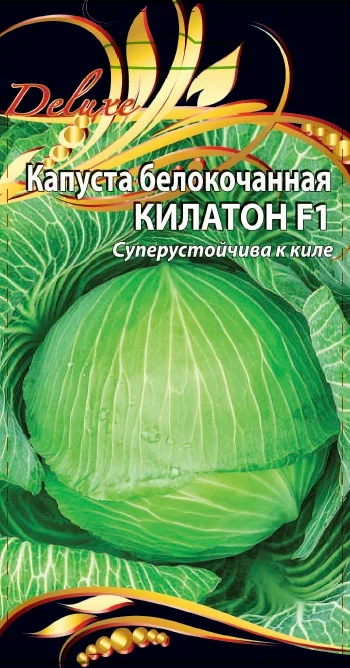 Миниатюра изображения сорта Килатон 