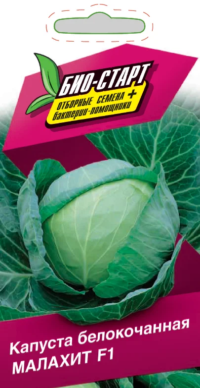 Миниатюра изображения сорта Малахит 