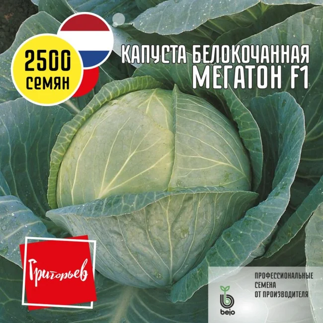 Миниатюра изображения сорта Мегатон 