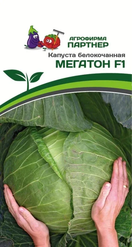 Миниатюра изображения сорта Мегатон 