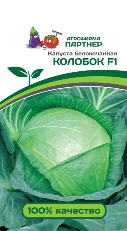 Миниатюра изображения сорта Колобок 