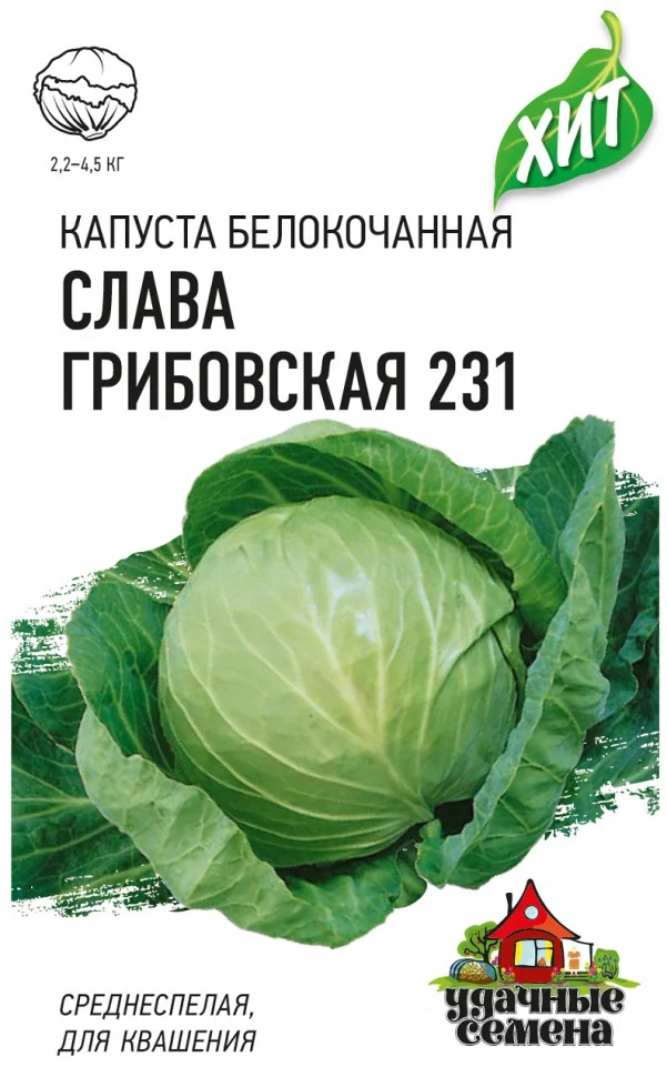 Слава Грибовская 231