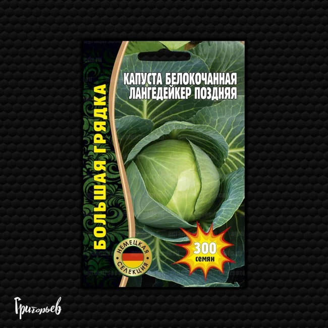 Миниатюра изображения сорта Лангедейкер поздняя