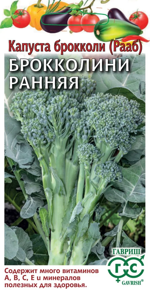 Рааб Ранняя