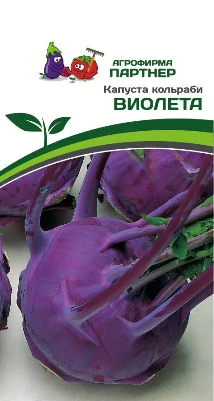 Миниатюра изображения сорта Виолета